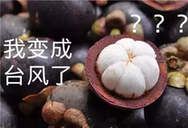 “山竹”還未走遠，但貝朗全自動彎線機已正常上班啦！